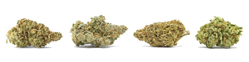 acheter du cannabis