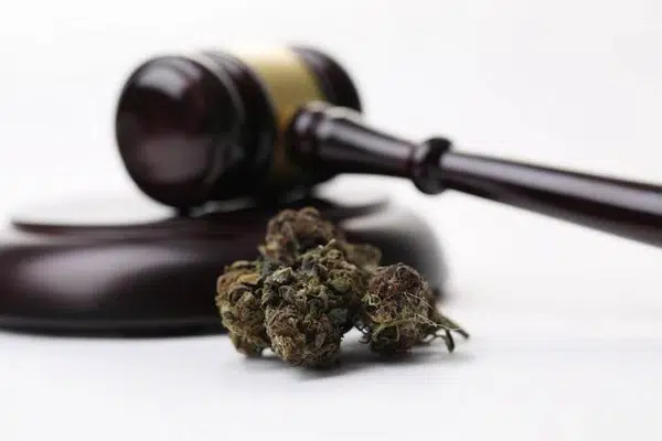 acheter du cannabis